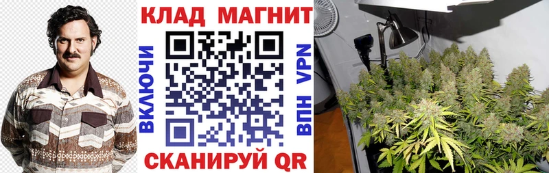Где купить наркоту Волхов Конопля  Метамфетамин  МЕГА ссылки  МЕФ  Alpha-PVP  Гашиш 