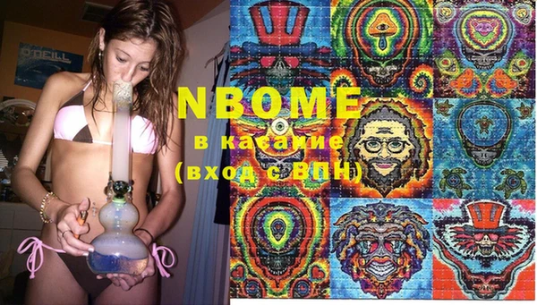 индика Верея