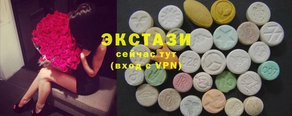 индика Верея