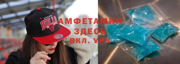 индика Верея