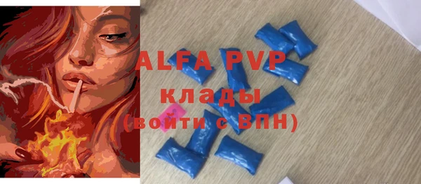 индика Верея