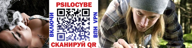 дарк нет наркотические препараты  Волхов  Галлюциногенные грибы прущие грибы 
