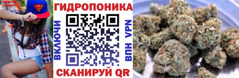 Канабис тримм  наркошоп  Волхов 